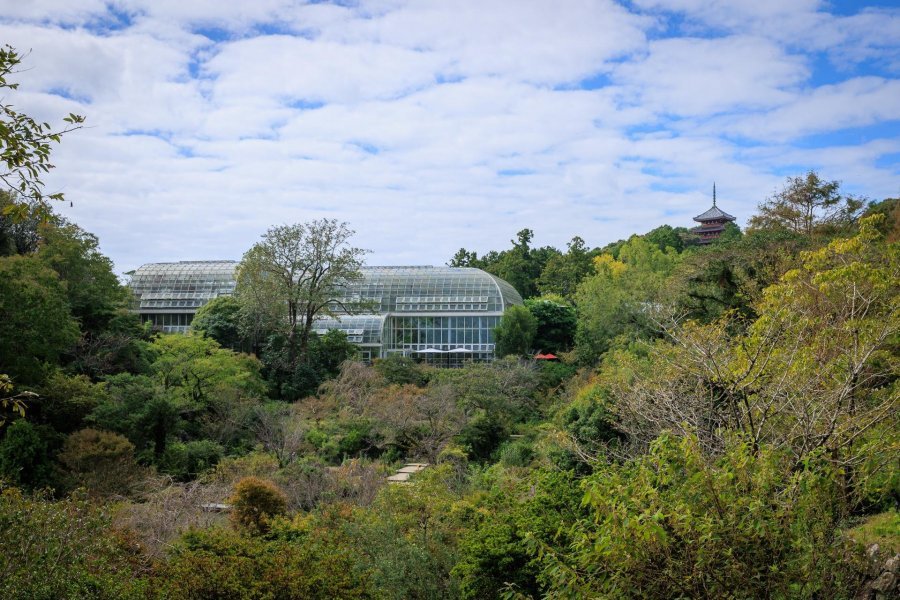 🌿 마키노 토미타로 기념관 본관(마키노 토미타로 키넨칸 혼칸) 이미지 4